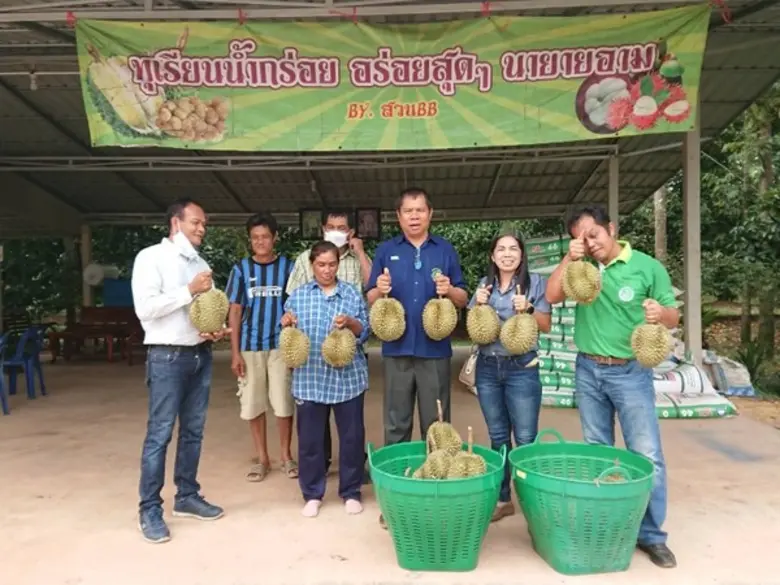 ปี 63 ทุเรียนภาคตะวันออกขายได้ราคา มีสมาพ...