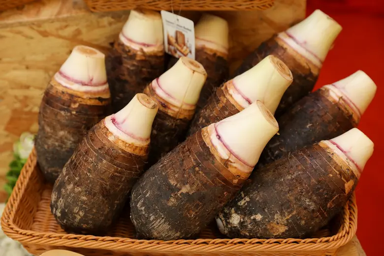 แม็คโคร ลงนามเอ็มโอยู กรมส่งเสริมการเกษตร หนุนเกษตรแปลงใหญ่ กู้วิกฤตโควิด-19  พร้อมพัฒนามาตรฐานปลอดภัยในระยะยาว เน้นตลาดนำการเกษตร