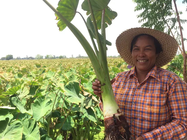 แม็คโคร ลงนามเอ็มโอยู กรมส่งเสริมการเกษตร หนุนเกษตรแปลงใหญ่ กู้วิกฤตโควิด-19  พร้อมพัฒนามาตรฐานปลอดภัยในระยะยาว เน้นตลาดนำการเกษตร