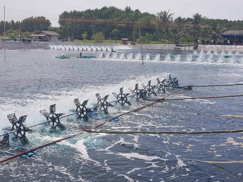 บริษัท เจริญโภคภัณฑ์อาหาร จำกัด (มหาชน) ห...