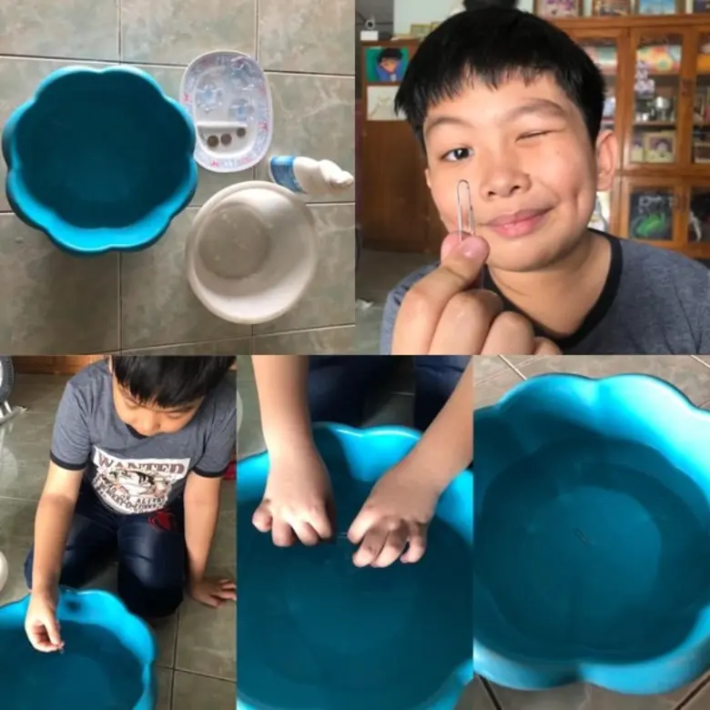 โครงการบ้านนักวิทยาศาสตร์น้อย ประเทศไทย (LSH) เดินหน้าฝึกอบรมเชิงปฎิบัติการด้วยระบบทางไกล