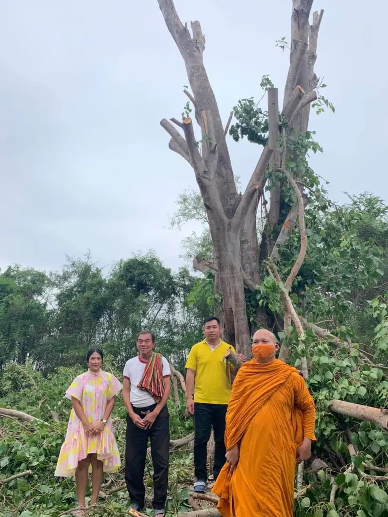 แม้จะยังมีกระแสถาโถมมาอย่างต่อเนื่อง แต่ ...