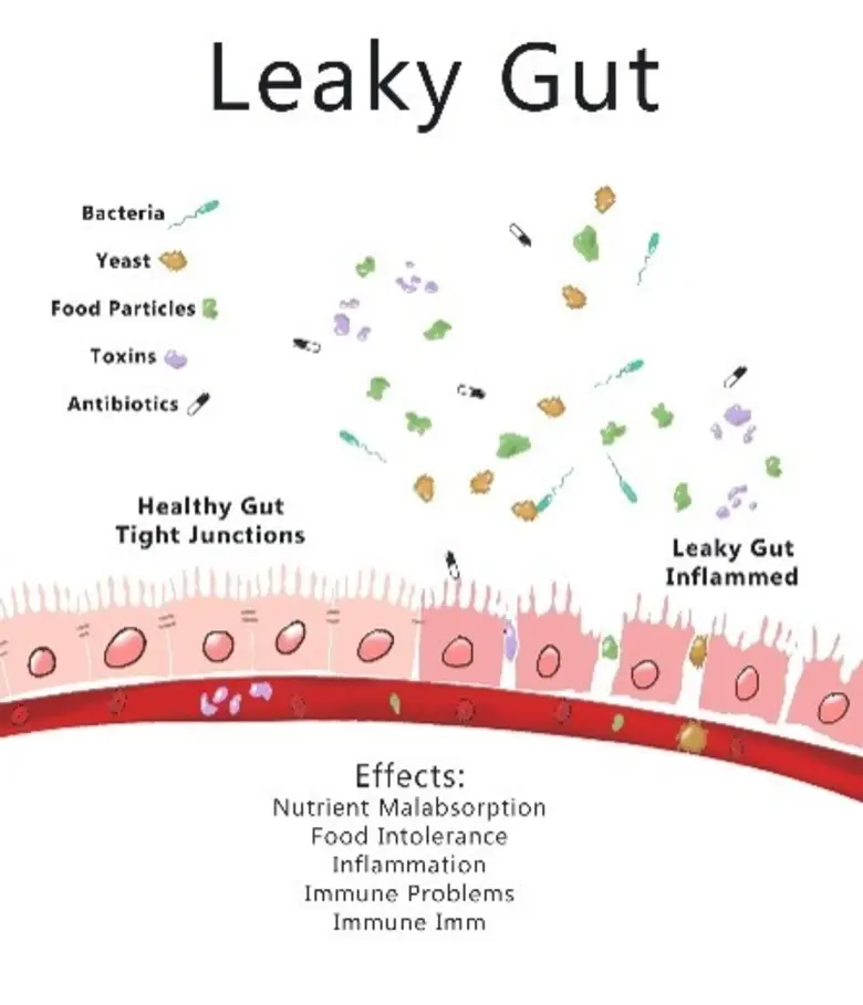 คุณเคยมีอาการหรือโรคที่อยู่ดีๆก็เป็นโดยไม...