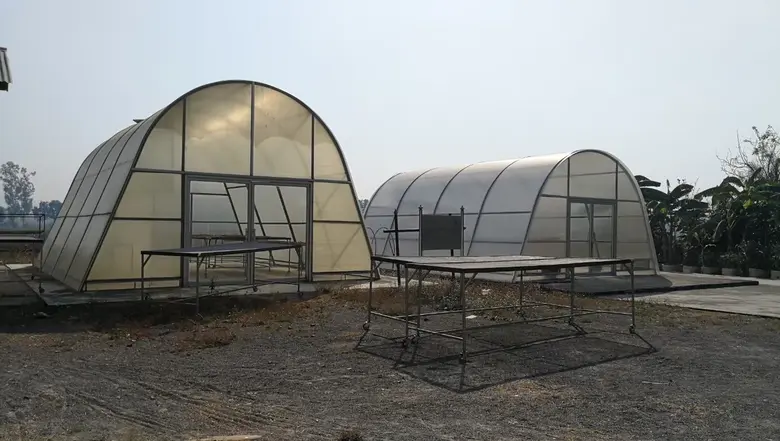 สศก. เทียบชัด เกษตรกรแปลงใหญ่สมุนไพร ขมิ้นชัน-ไพล สร้างรายได้มากกว่ากลุ่มเกษตรกรทั่วไป