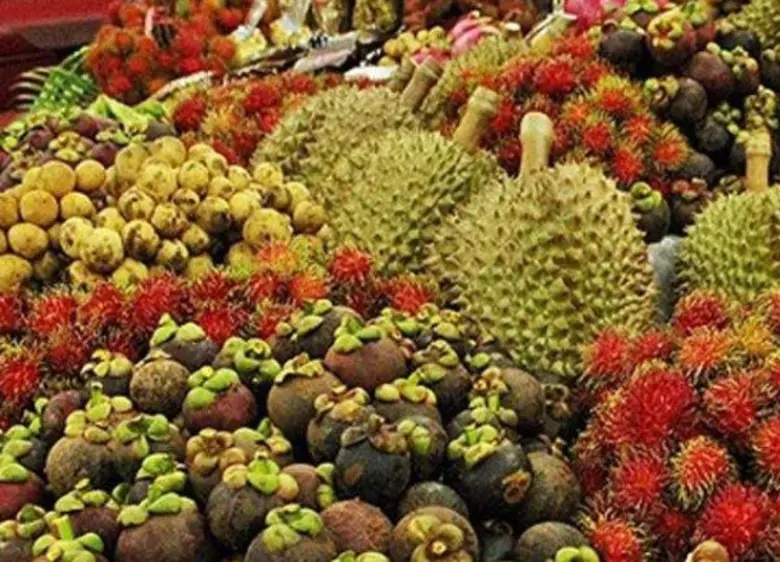 สศก. เผย ไม้ผลภาคใต้ และลำไยภาคเหนือ ปีนี้ผลผลิตเพิ่ม เตรียมพร้อมออกตลาดสิงหาคมนี้