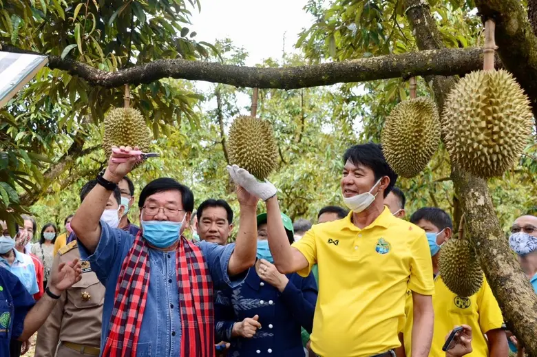 “ประภัตร” เดินหน้าขับเคลื่อนเกษตรแปลงใหญ่ ชูกลุ่มเกษตรแปลงใหญ่ทุเรียนท่ากุ่ม-เนินทราย ผลิตทุเรียนมาตรฐาน GAP
