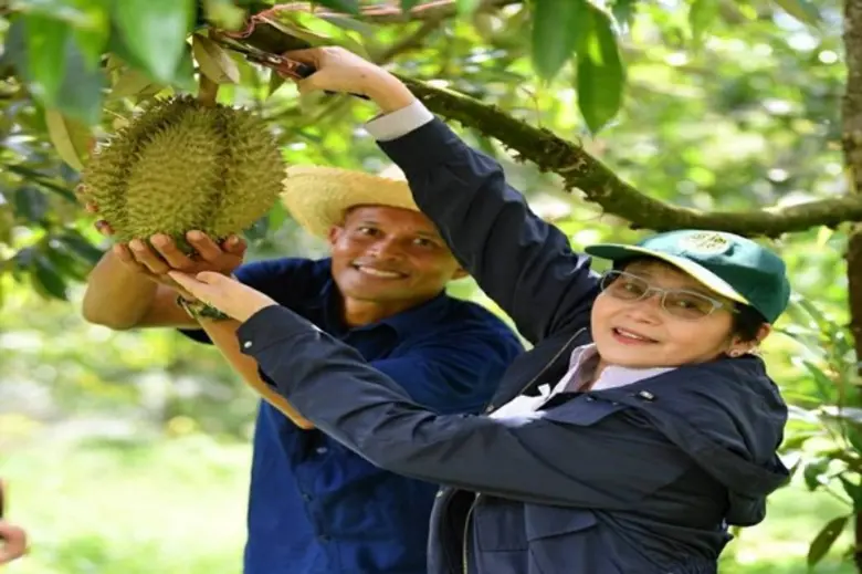 มกอช. ลุยแนะนำ ส่งเสริม เกษตรกรเข้าสู่ระบบมาตรฐาน GAP ติดตราสัญลักษณ์ Q พร้อม สนับสนุนใช้ระบบตรวจสอบย้อนกลับ QR Trace
