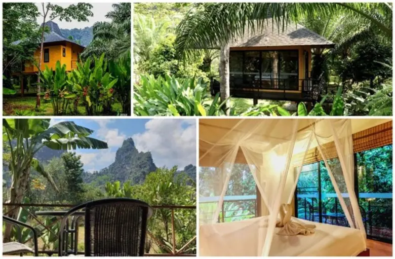 ราคาพิเศษต้อนรับนักท่องเที่ยวไทย “ปลูกป่า...