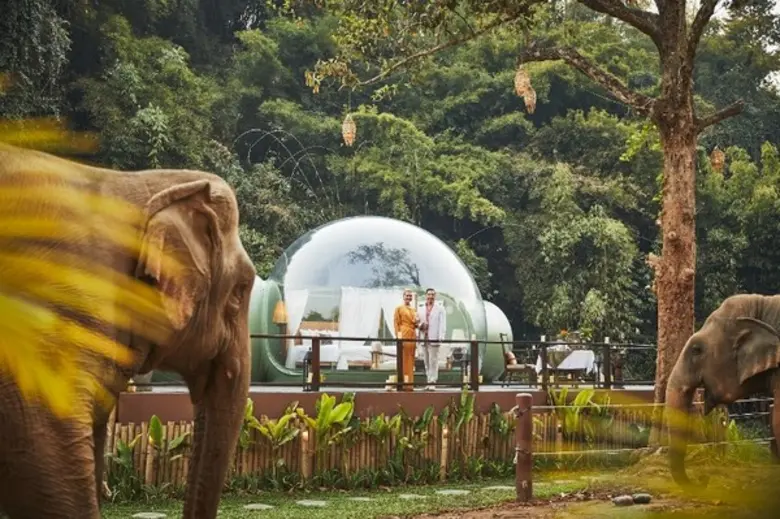 อนันตรา สามเหลี่ยมทองคำ แคมป์ช้าง แอนด์ ร...