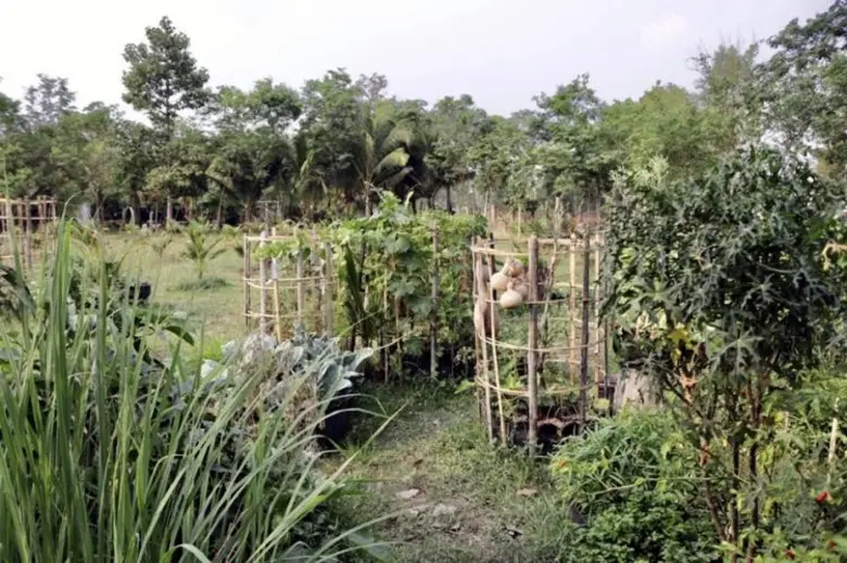 สศก. เผย แรงงานคืนถิ่น พึ่งพิงภาคเกษตรจากเหตุโควิด-19