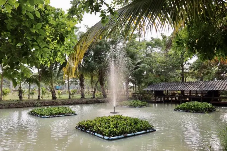 สศก. เผย แรงงานคืนถิ่น พึ่งพิงภาคเกษตรจากเหตุโควิด-19