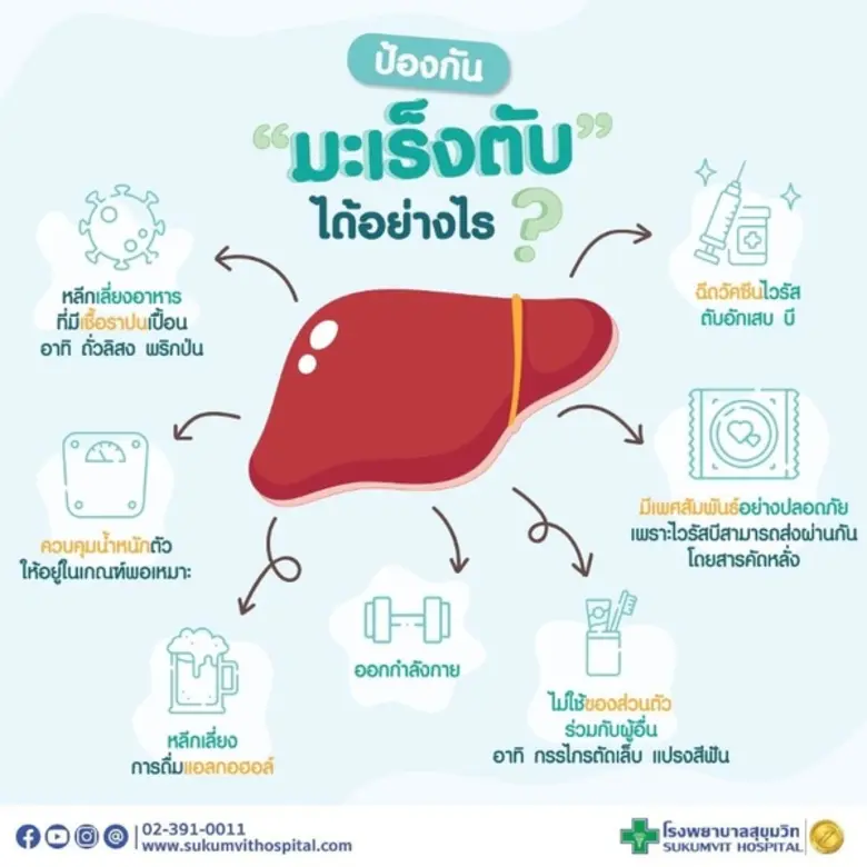 มะเร็งตับ" โรคที่เป็นปัญหาสำคัญทางสาธารณส...