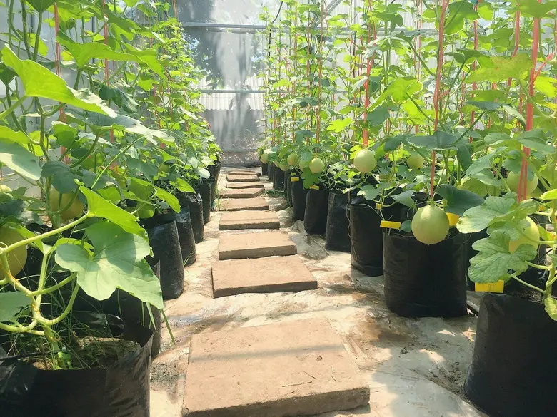 “อาชีวะเกษตรบุรีรัมย์ Farmstay” จุดเช็คอินแห่งใหม่จังหวัดบุรีรัมย์