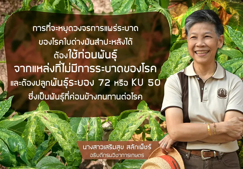 กรมวิชาการเกษตร เร่งกระชับพื้นที่ระบาดโรค...