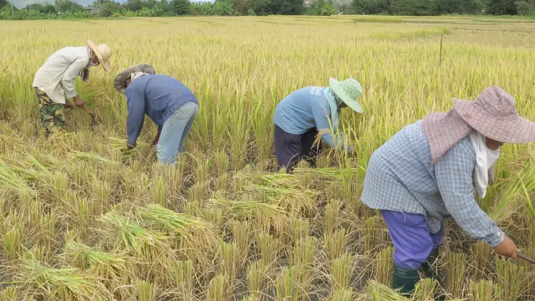 เกษตรฯ แจงงบ ปี 64 รวม 113,980 ล้านบาท เพื่อขับเคลื่อนยุทธศาสตร์ชาติ 5 ด้าน ต่อสภาผู้แทนราษฎร วาระที่ 1