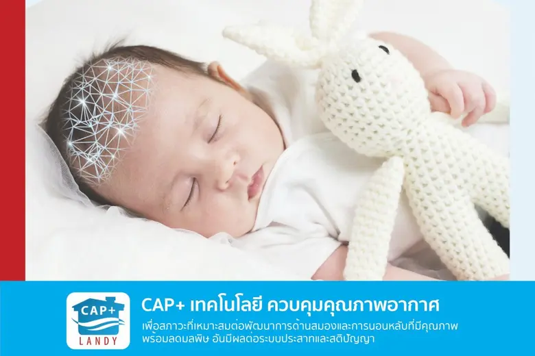 บริษัท แลนดี้ โฮม (ประเทศไทย) จำกัด ผู้นำ...