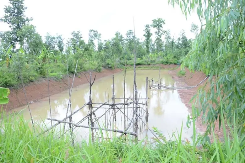 รมช.มนัญญา ชูพืชผลเกษตรอินทรีย์ผสมผสาน