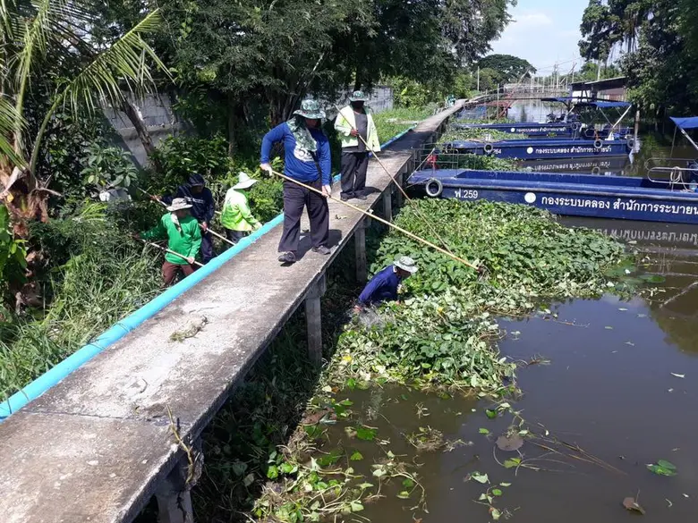 นายณรงค์ เรืองศรี ผู้อำนวยการสำนักการระบา...