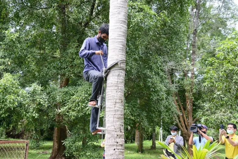 รมช.มนัญญา มอบพันธุ์มะพร้าวหนุน เกษตรกรปลูกมะพร้าว ให้เพียงพอความต้องการของตลาด