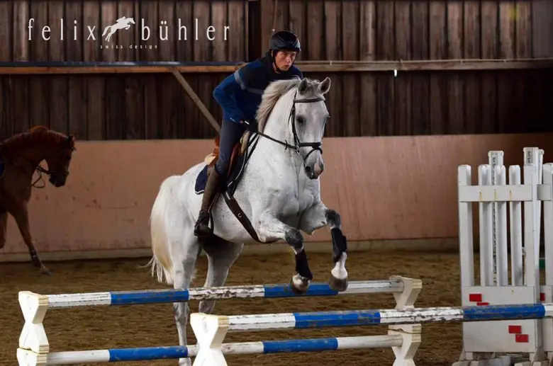 FELIX BUHLER เปิดตัวแบรนด์แอมบาสเดอร์…คนล่าสุด มาร์ติน ฟูชส์ (MARTIN FUCHS) นักกีฬาขี่ม้า สัญชาติสวิส