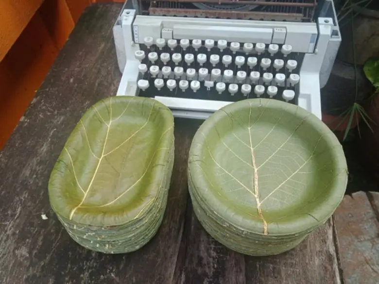 อ.อ.ป. สร้างมูลค่าเพิ่มจาก 'ใบสัก’ หวัง “ลด ละ เลิก” ใช้ถุงพลาสติก/โฟม