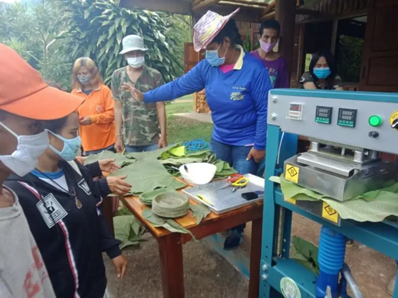 อ.อ.ป. สร้างมูลค่าเพิ่มจาก 'ใบสัก’ หวัง “ลด ละ เลิก” ใช้ถุงพลาสติก/โฟม