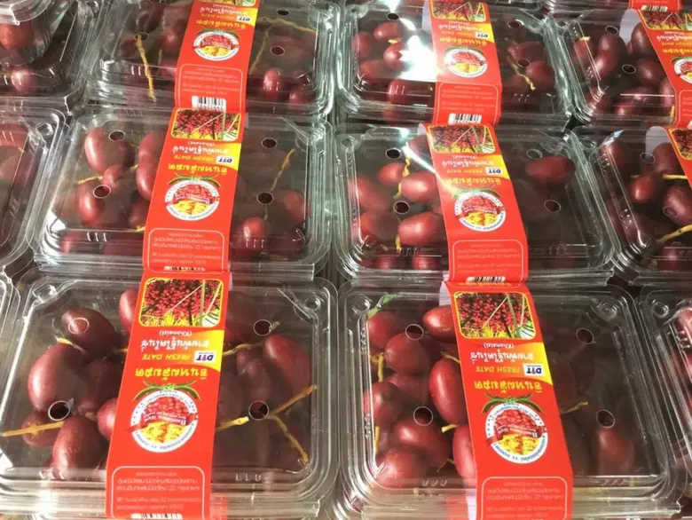 แม็คโคร ร่วมกับ กรมการค้าภายใน รับซื้ออินทผลัมกว่า 15 ตันจากสวนนิมิตใหม่ พลิกวิกฤตชาวสวนฝ่าโควิด-19 เพื่อการพัฒนาผลผลิตอย่างยั่งยืน