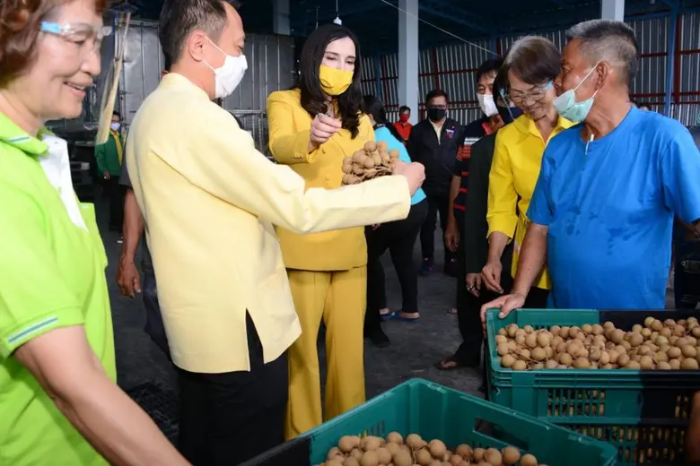 รมช.มนัญญา ปล่อยคาราวานกระจายลำไย เดินหน้าเริ่มที่ลำพูน ช่วยเกษตรกรผยุงราคา รัฐเอกชนจับมือ กระจายผลผลิตตรงสู่ผู้บริโภคทั่วประเทศ