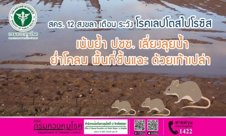สำนักงานป้องกันควบคุมโรคที่ 12 จังหวัดสงข...