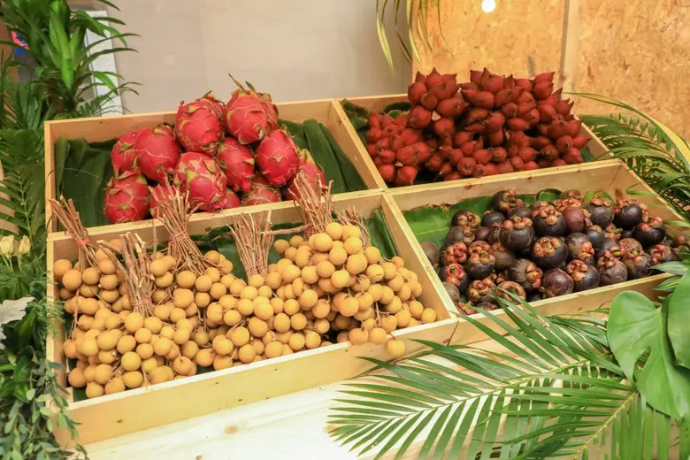 เซ็นทรัลพลาซา จัดงาน “ผล-ละ-ไม้ ผล-ละ-มือ”