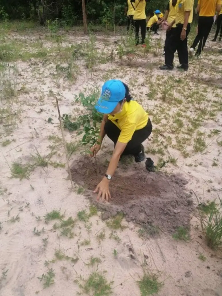 ภาพข่าว: สนพ.ยโสธร ร่วมปลุกต้นไม้