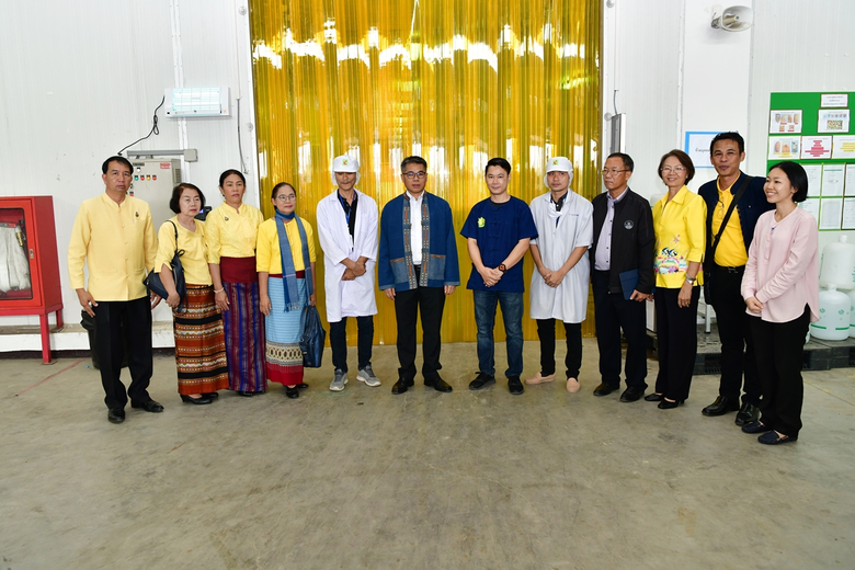 ธุรกิจรวบรวมผักชุมนุมสหกรณ์การเกษตรภาคเหน...