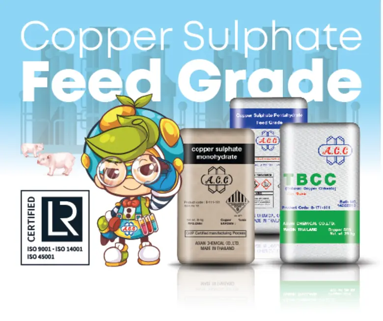 บริษัท เอเชี่ยน เคมิคัล จำกัด (ACC) ผู้ผล...