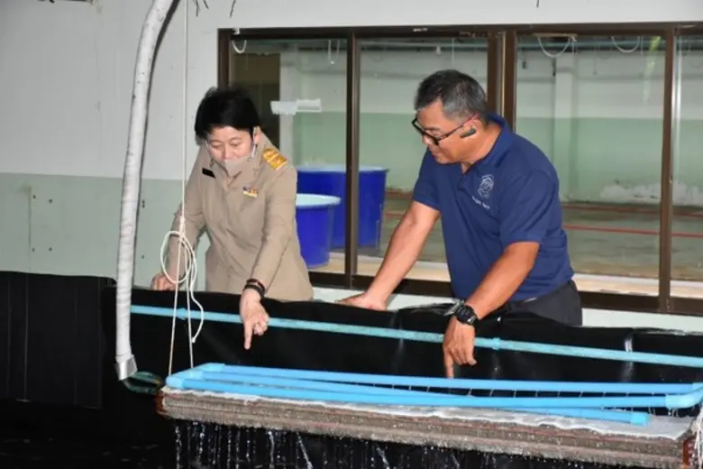 มกอช. ตรวจเยี่ยมบรรจงฟาร์ม ดูงานโรงเพาะฟักปลอดโรคตามมาตรฐานบังคับ