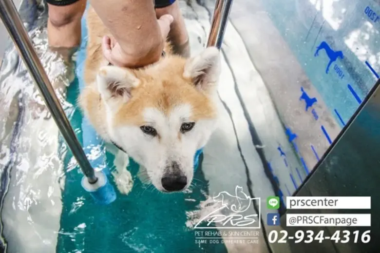 "ธาราบำบัดเป็นศาสตร์อย่างหนึ่งในการรักษาโ...