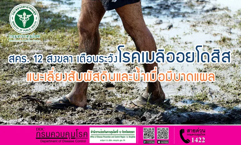 สำนักงานป้องกันควบคุมโรคที่ 12 จังหวัดสงข...