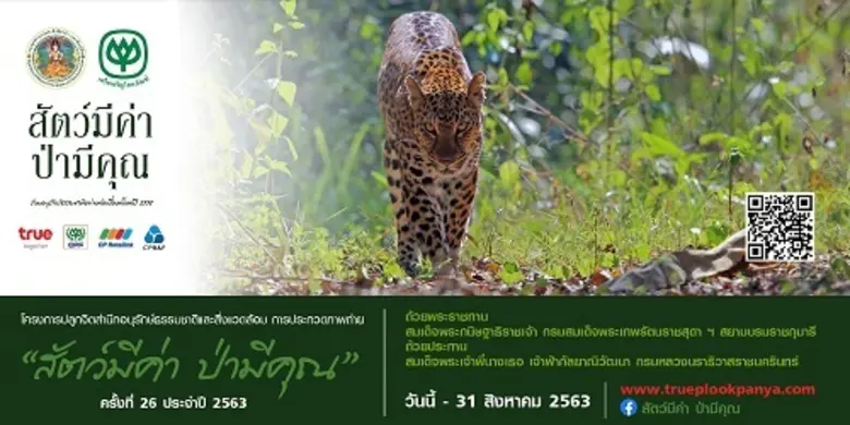 กรมอุทยานแห่งชาติ สัตว์ป่า และพันธุ์พืช ร...