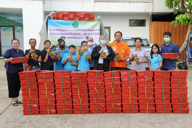 กสส.ปลื้ม โครงการกระจายลำไยสหกรณ์ภาคเหนือฉลุย ผู้บริโภคชมสินค้าดี เตรียมกระจายมังคุดทางใต้ต่อทันที