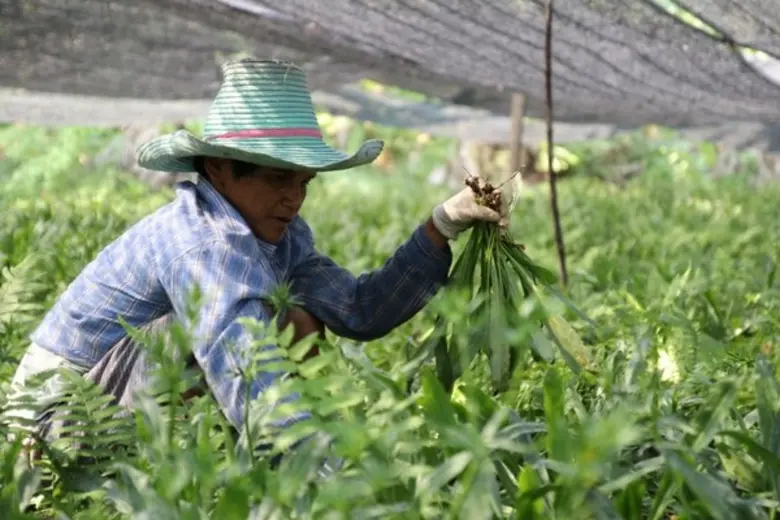 ในปี 2562 – 2563 ที่ผ่านมาสำนักงานสภาพัฒน...