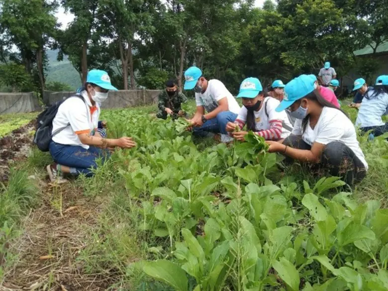 โครงการฟาร์มตัวอย่าง บ้านบ่อหวี ตำบลตะนาว...