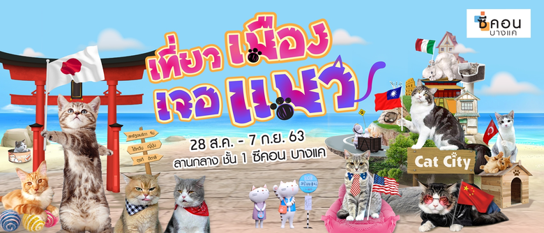 ซีคอน บางแค เอาใจทาสแมวสายชิลล์ เนรมิต 6 ...