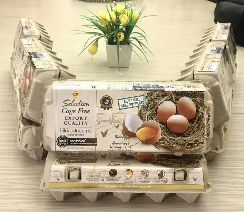 ปัจจุบันกระแสสุขภาพกำลังเป็นที่นิยมมากขึ้...