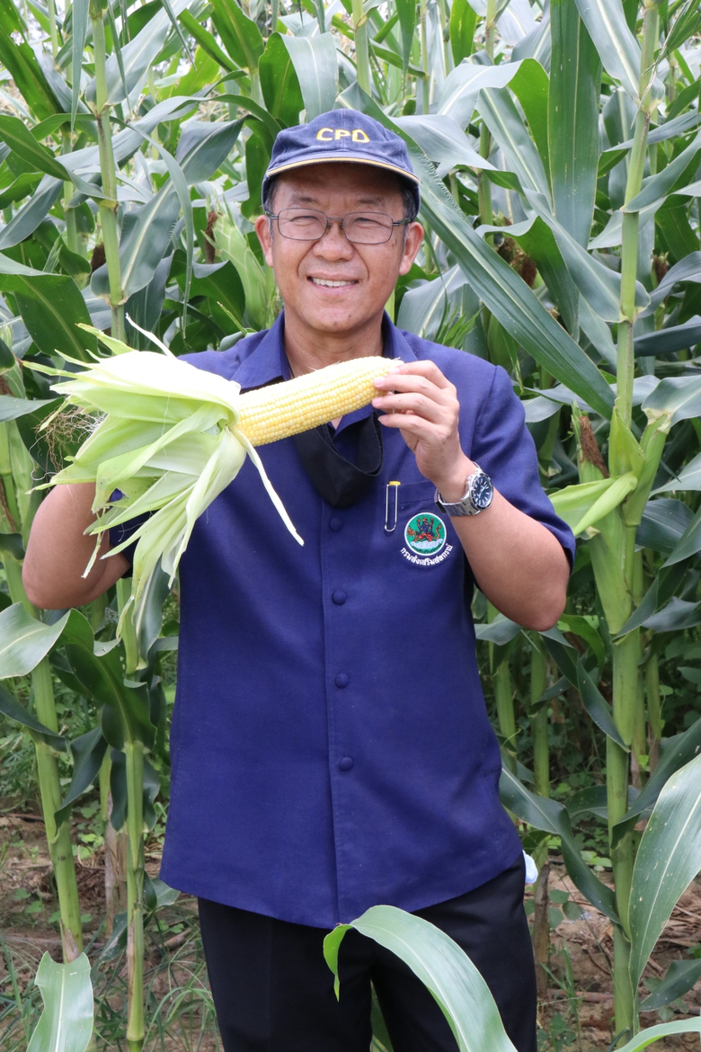 นายอัชฌา สุวรรณนิตย์ รองอธิบดีกรมส่งเสริม...