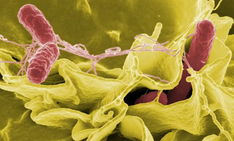 ฝ่าด่านความอ้วนจากพันธุกรรม ปรับพฤติกรรม “การใช้ชีวิต” ชีวีมีสุข”