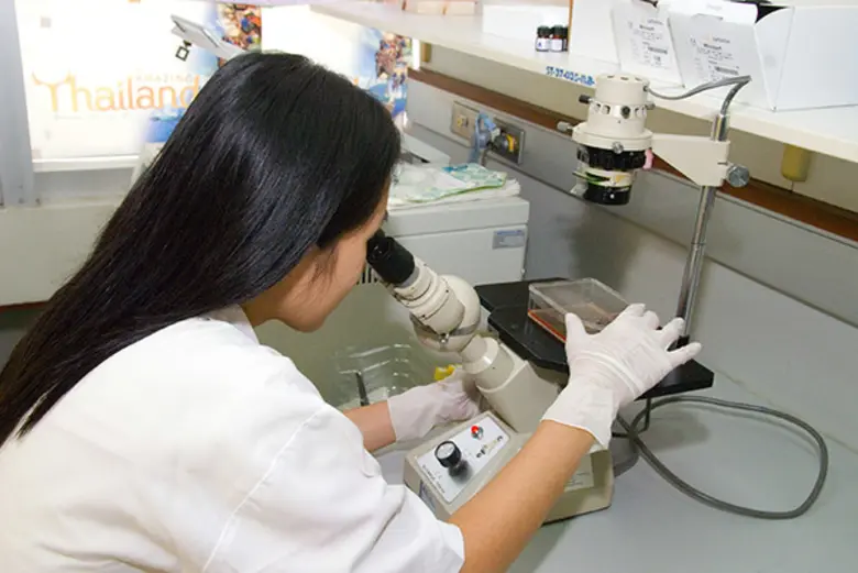 การก้าวสู่อันดับมหาวิทยาลัยโลก (World Cla...