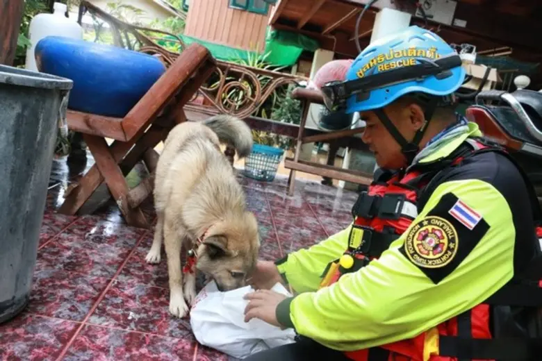 ทีมบรรเทาสาธารณภัย มูลนิธิป่อเต็กตึ๊ง นำอุปกรณ์ และโรงครัวเคลื่อนที่ ลงพื้นที่เร่งบรรเทาทุกข์ผู้ประสบภัยน้ำท่วมในพื้นที่อำเภอเวียงสา จังหวัดน่าน