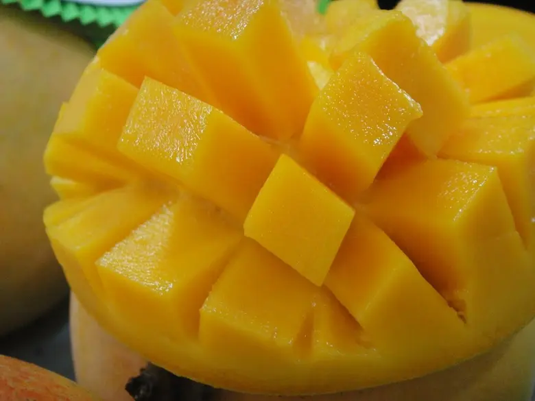 นักวิจัยไทยเฉียบโชว์นวัตกรรมแช่ผลมะม่วงในน้ำร้อนพิฆาตแมลงวันผลไม้ เปิดตลาดมะม่วงไปอียูฉลุยกว่า 167 ตัน