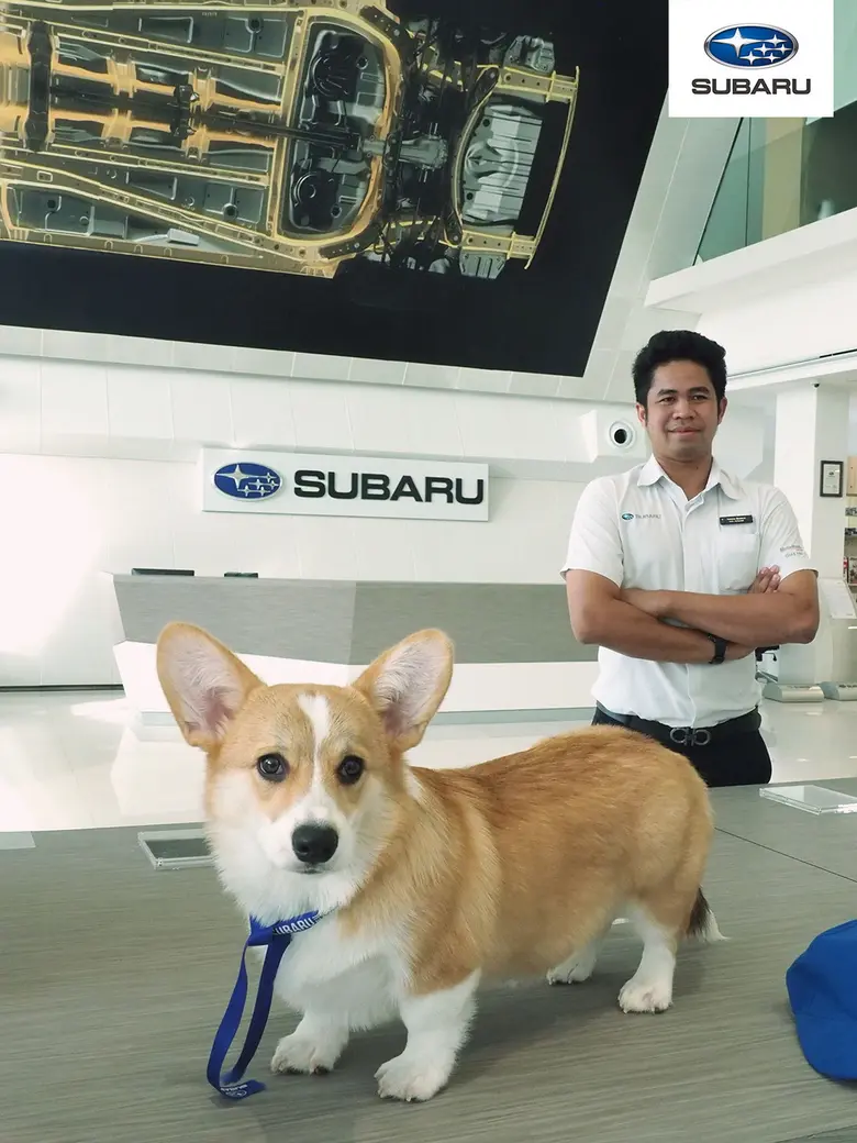 นับเป็นการสร้างสีสันครั้งใหม่ให้สังคมออนไ...