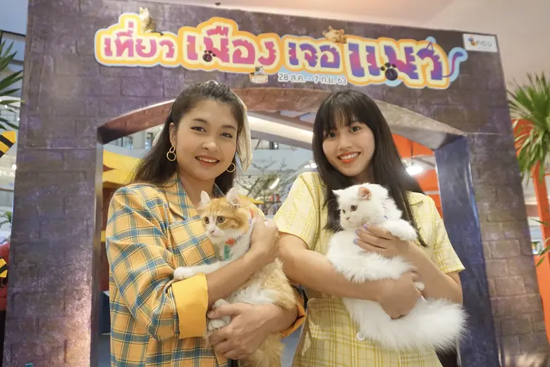 ซีคอน บางแค เอาใจทาสแมวสายชิลล์ เนรมิต 6 ...