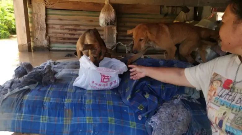 “จากน่าน... สู่สุโขทัย” ทีมบรรเทาสาธารณภัย มูลนิธิป่อเต็กตึ๊ง เคลื่อนกำลังพล ลงพื้นที่ จังหวัดสุโขทัย เร่งช่วยเหลือผู้ประสบภัยน้ำท่วม